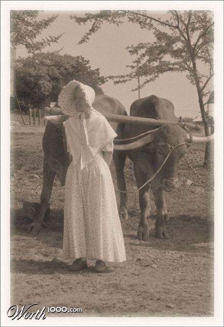 Photography by lynvdg