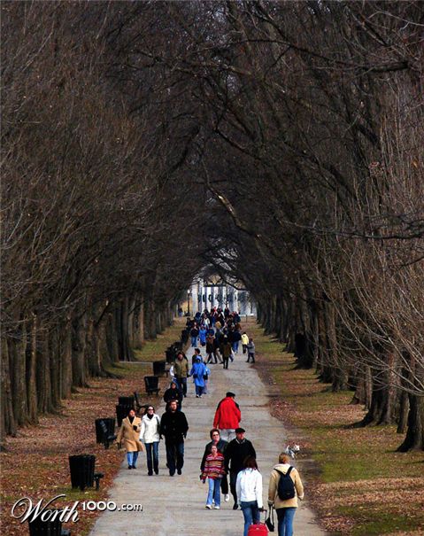 Photography by scotty2hotty