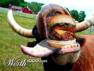 Photoshop Design by stevekillsdotcom