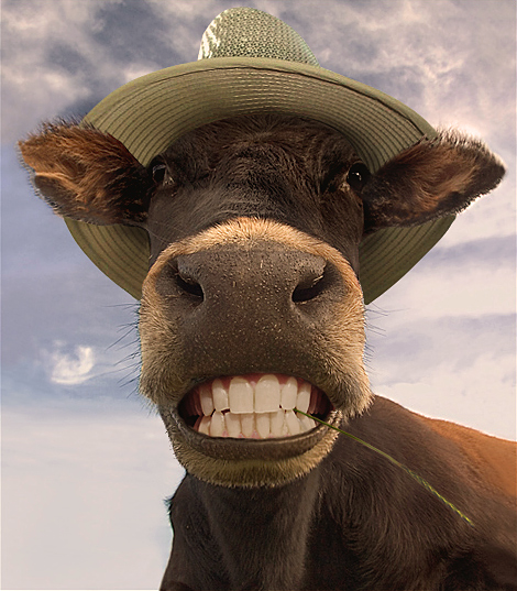 Photoshop Design by miggzter for DesignCrowd (Community Contests) | Design #9054161