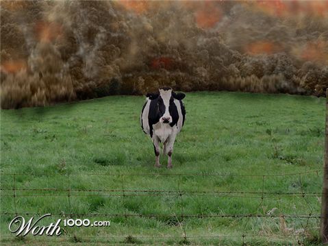 Photoshop Design by jayman175