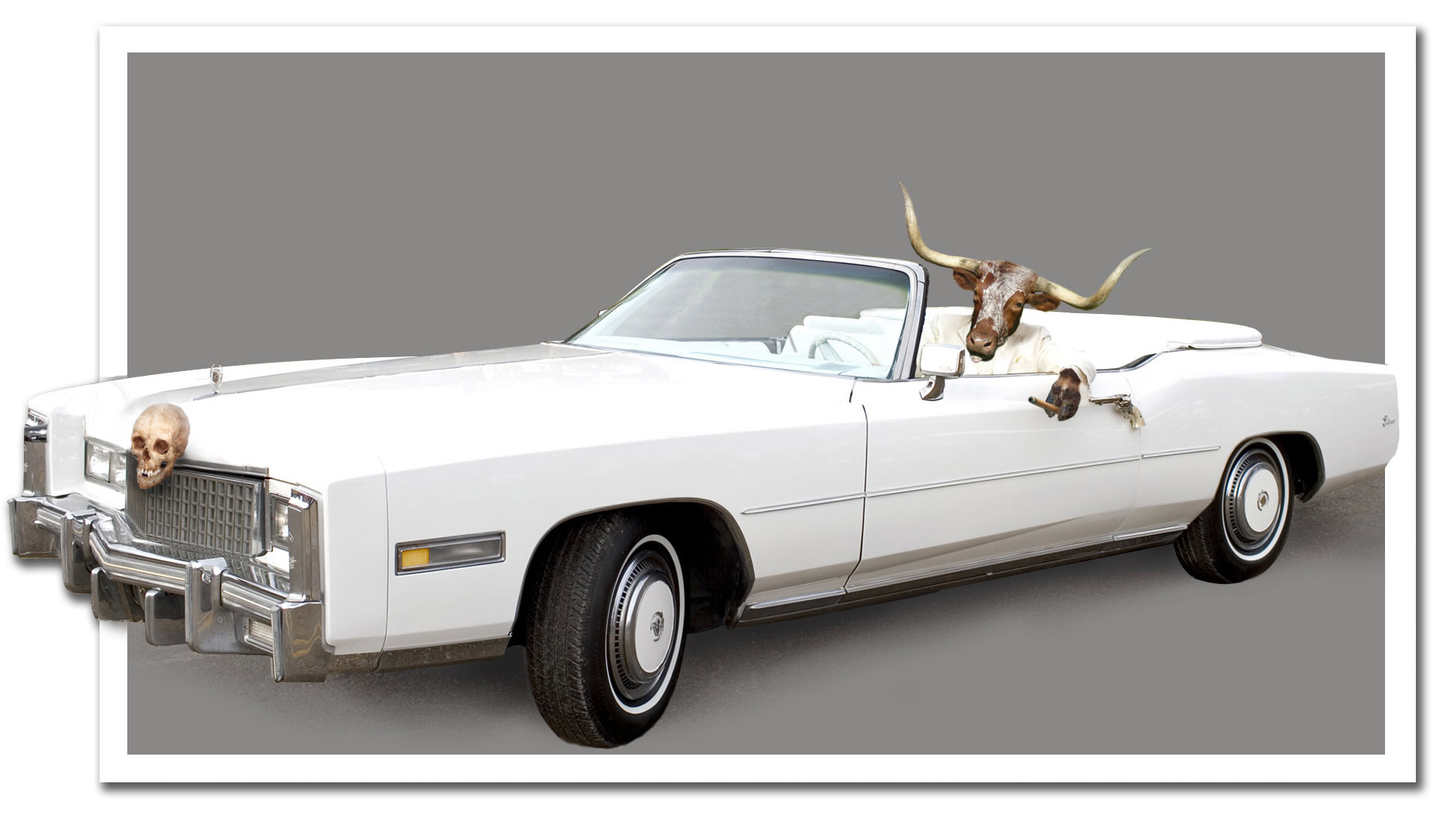 Photoshop Design by rainyseason for DesignCrowd (Community Contests) | Design #9054190