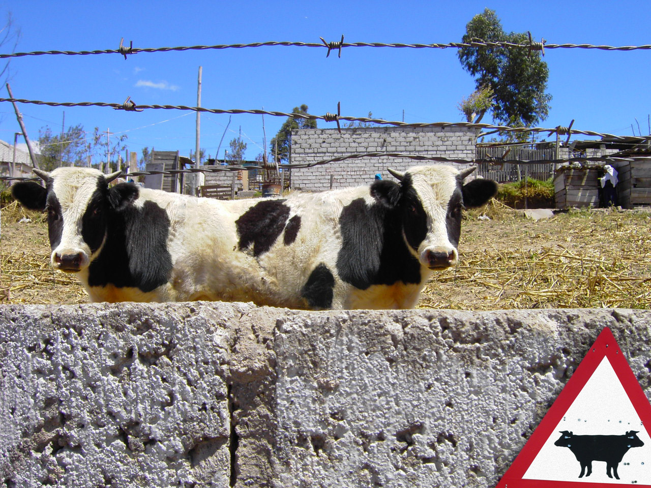 Photoshop Design by josiahguile for DesignCrowd (Community Contests) | Design #9054215