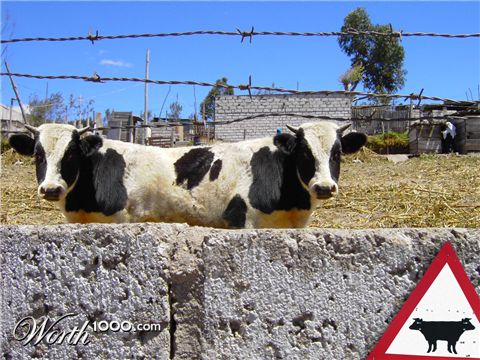 Photoshop design by josiahguile for DesignCrowd (Community Contests)