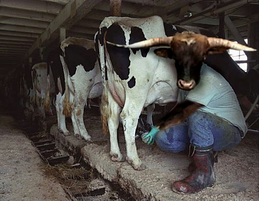 Photoshop Design by FireBallXL15 for DesignCrowd (Community Contests) | Design #9054172