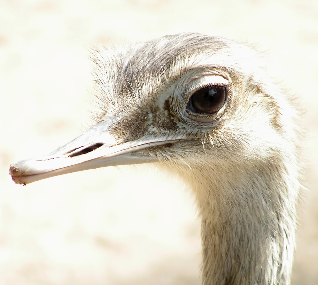 Photography by Rouwkema for DesignCrowd (Community Contests) | Design #9063164