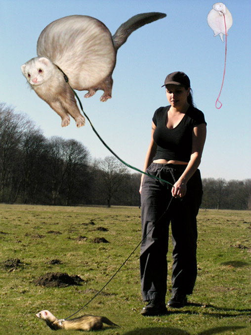 Diseño de Photoshop por Lakinni para DesignCrowd (Community Contests) | Diseño #9056400