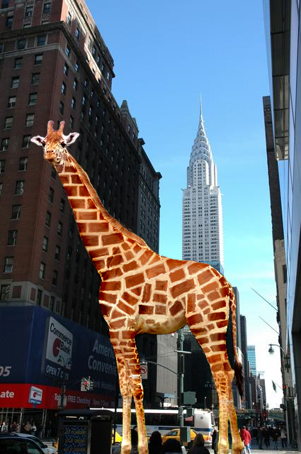 Diseño de Photoshop por kestersmith para DesignCrowd (Community Contests) | Diseño #9054119