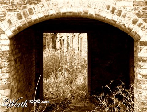 Photography by thenegativeone