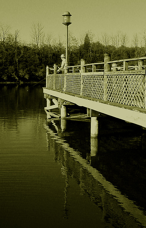 Fotografie von zsandra für DesignCrowd (Community Contests) | Design #9060593