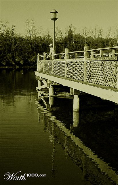 Photography by zsandra