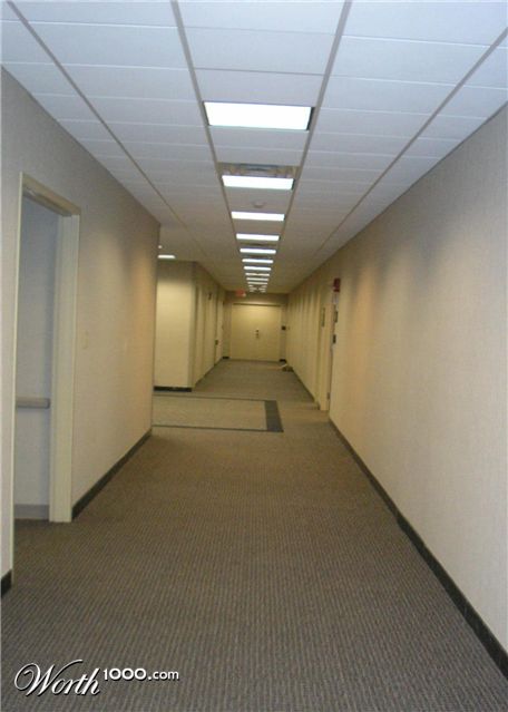 Photography by shellss11