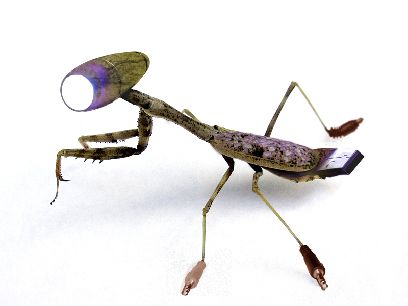 Photoshop Design by DennisL for DesignCrowd (Community Contests) | Design #9054207