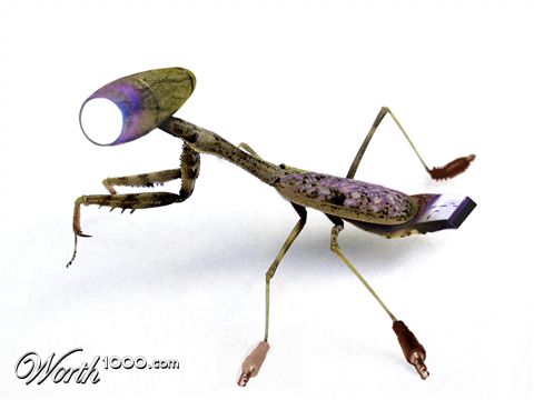 Photoshop Design by DennisL