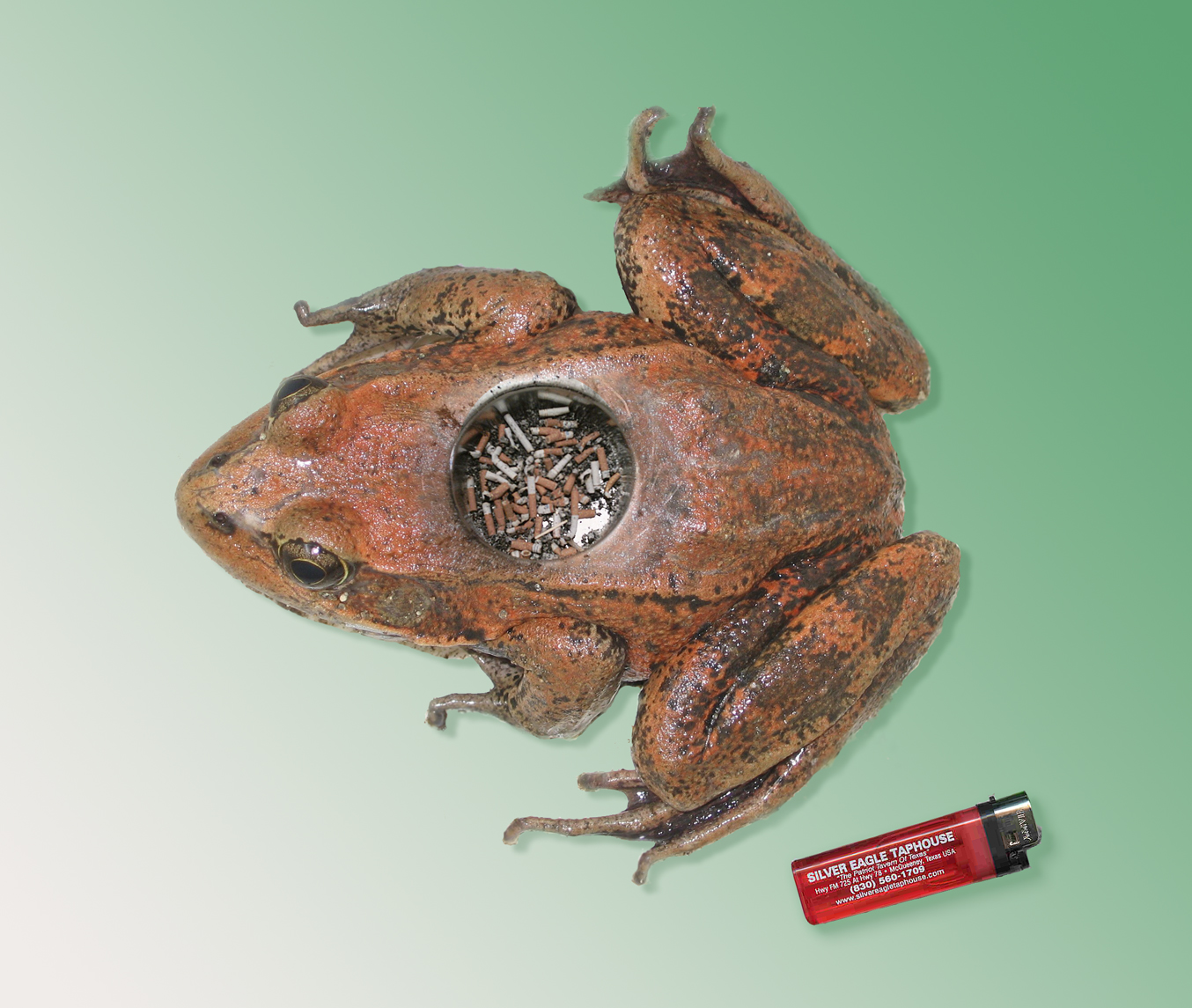 Photoshop Design by Flexodus for DesignCrowd (Community Contests) | Design #9054184