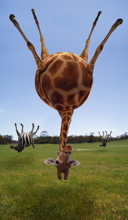 Photoshop Design by Nicky666 for DesignCrowd (Community Contests) | Design #9056427