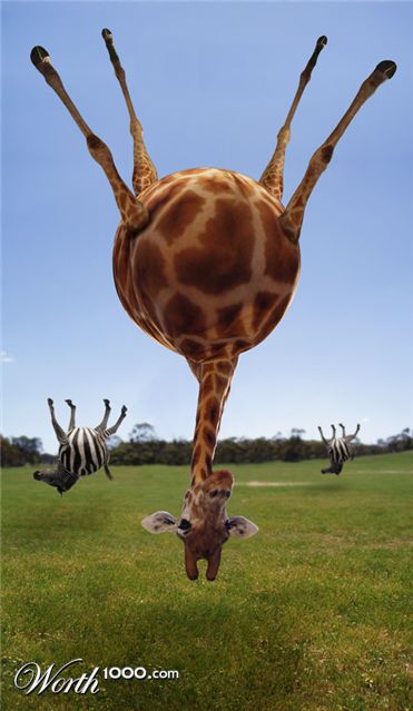 Photoshop Design by Nicky666