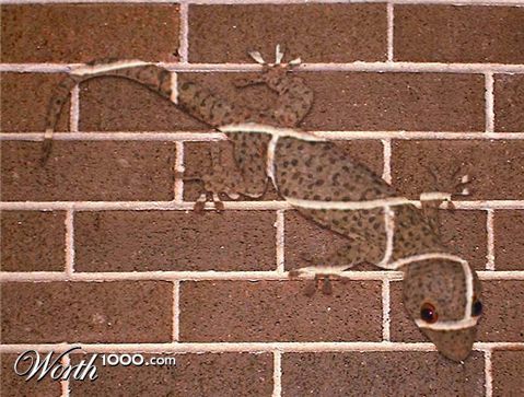 Photoshop Design by godzillatemple