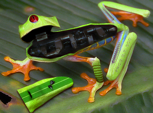 Photoshop Design by wagnerm25 for DesignCrowd (Community Contests) | Design #9054217