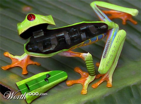 Photoshop Design by wagnerm25