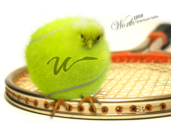 Design Photoshop par ratmaster11 pour DesignCrowd (Community Contests) | Design #9054240