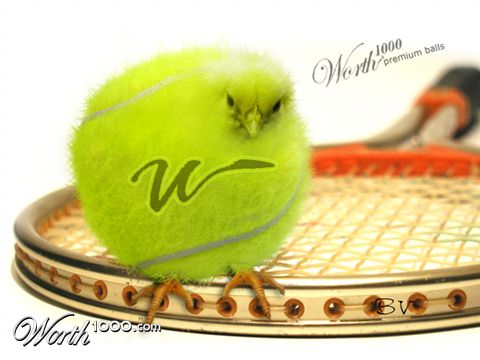 Photoshop Design by ratmaster11