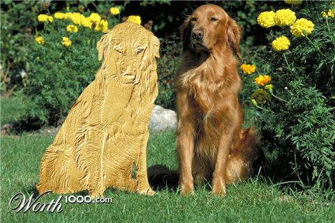 Photoshop Design by juices37