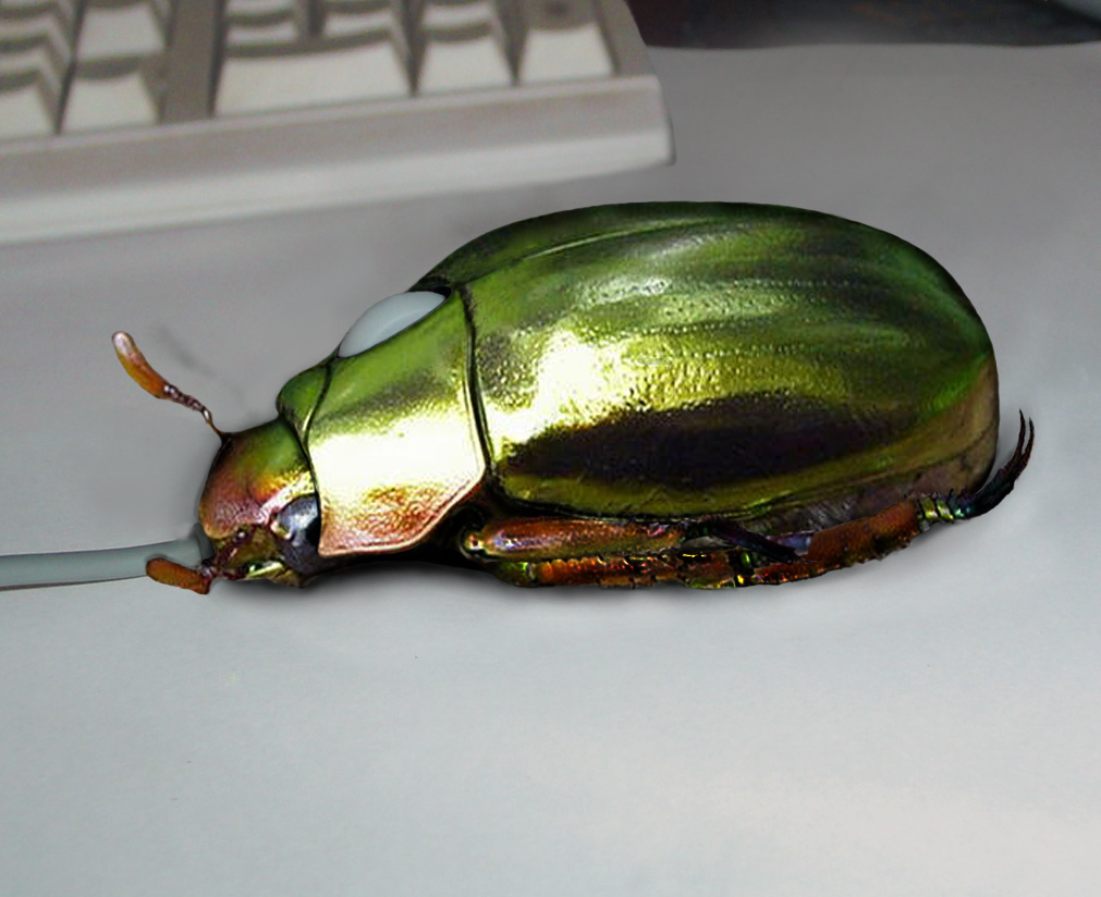 Design Photoshop par SNEALL pour DesignCrowd (Community Contests) | Design #9054173