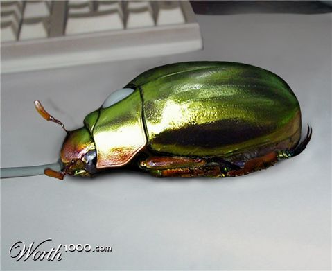 Photoshop Design by SNEALL