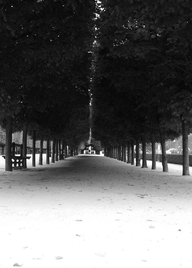 Fotografía por PristineFlame para DesignCrowd (Community Contests) | Diseño #9057723