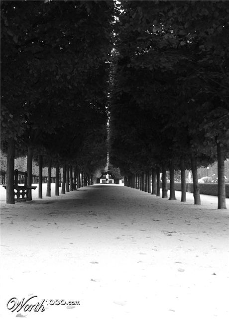 Photography by PristineFlame