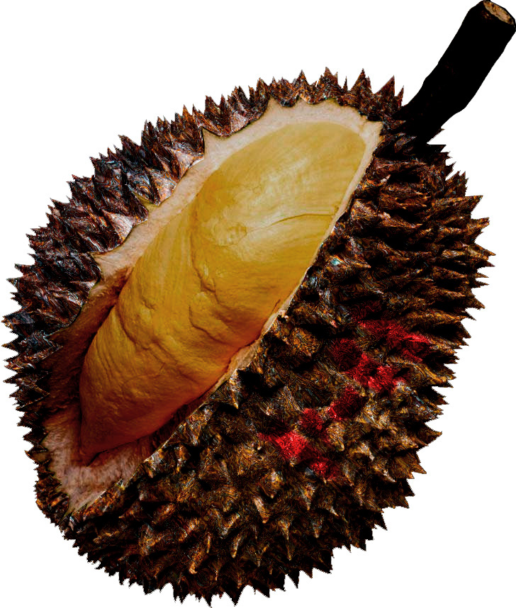 Photoshop Design by ayoksus for DesignCrowd (Community Contests) | Design #9055873