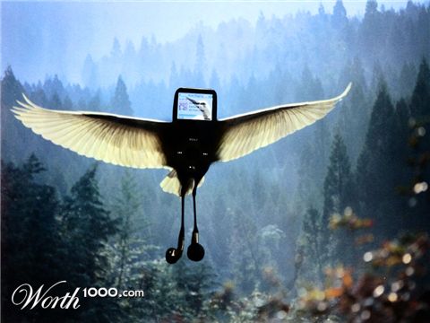 Photoshop Design by n1hustla