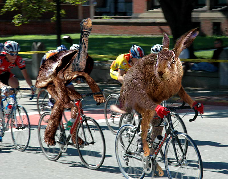 Photoshop Design by EyEars for DesignCrowd (Community Contests) | Design #9054298