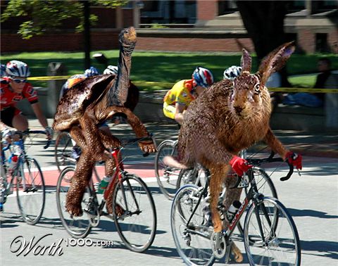 Photoshop Design by EyEars