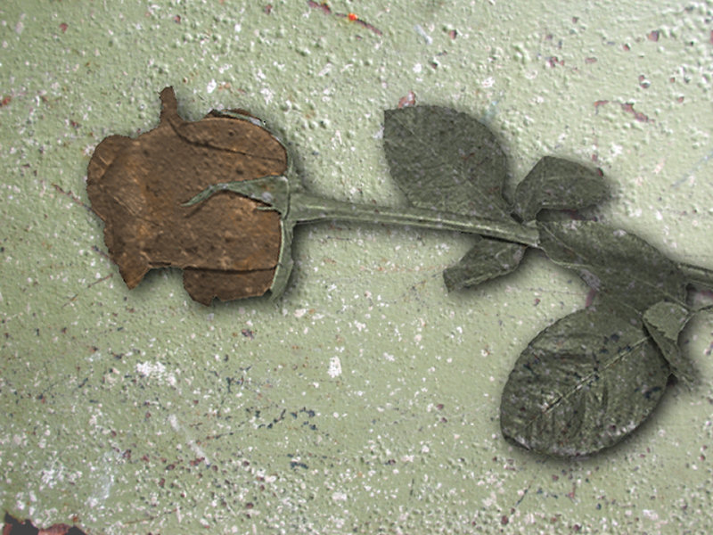 Photoshop Design by Silverhair1960 for DesignCrowd (Community Contests) | Design #9055905