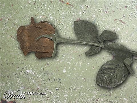 Photoshop Design by Silverhair1960