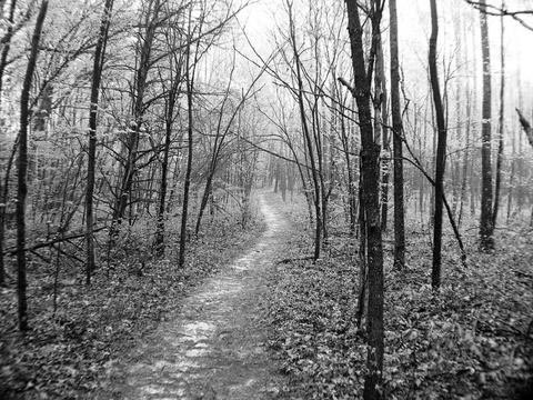 Photography by desstorm for DesignCrowd (Community Contests) | Design #9057768