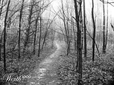 Photography by desstorm