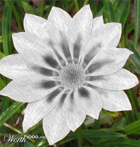 Photoshop Design by matster