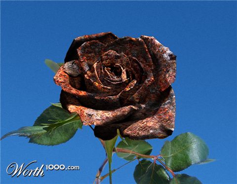 Photoshop Design by Ray__Mac