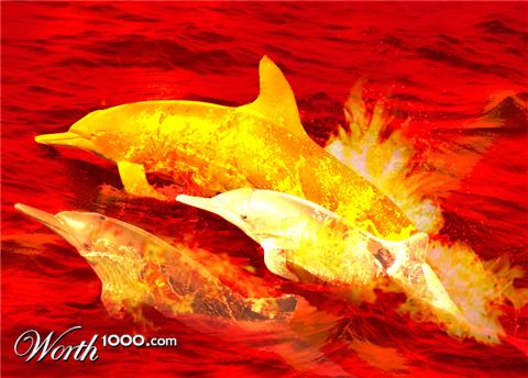 Photoshop Design by LessZoa