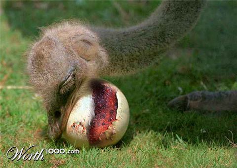 Photoshop Design by panaloliver2989