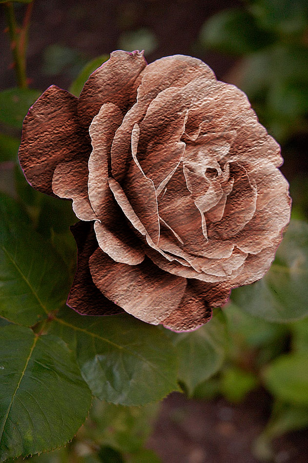 Photoshop Design by subtleeffects for DesignCrowd (Community Contests) | Design #9056031