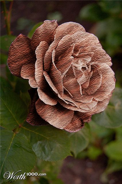 Photoshop Design by subtleeffects