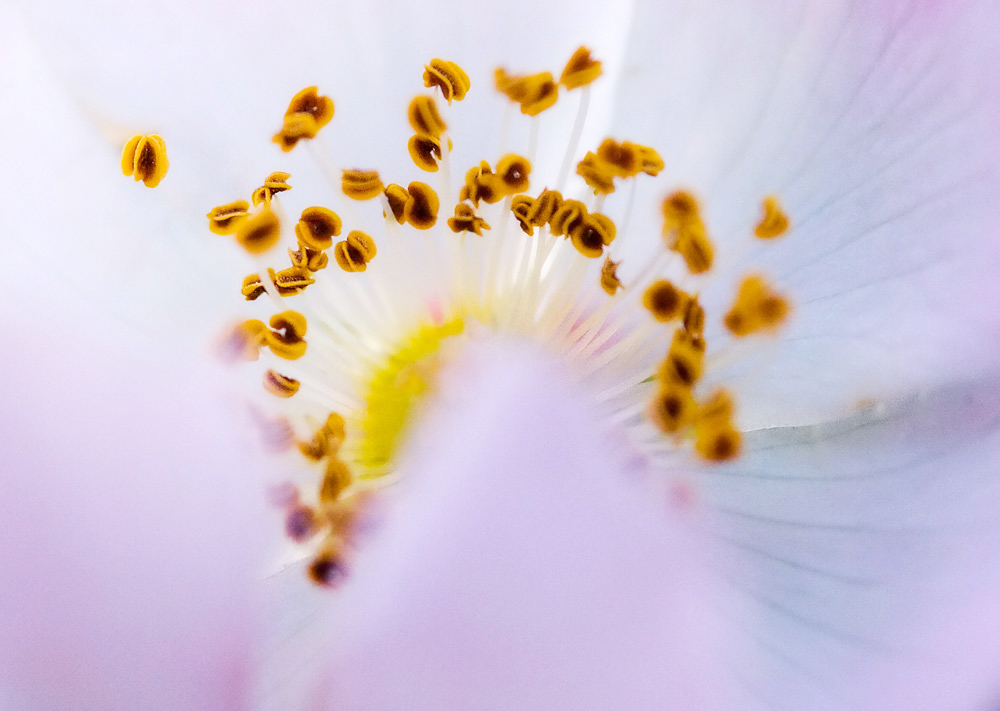 Photography by MerlinFoto for DesignCrowd (Community Contests) | Design #9063194