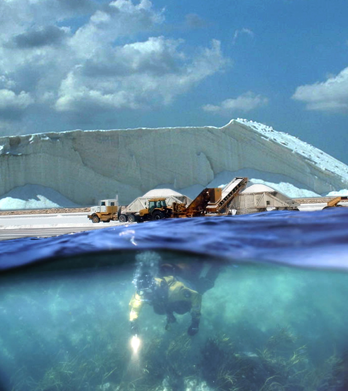 Photoshop Design by nellybean for DesignCrowd (Community Contests) | Design #9045244