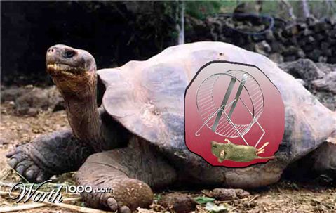 Photoshop Design by pgaffney