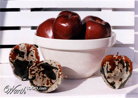 Photoshop Design by oaydin