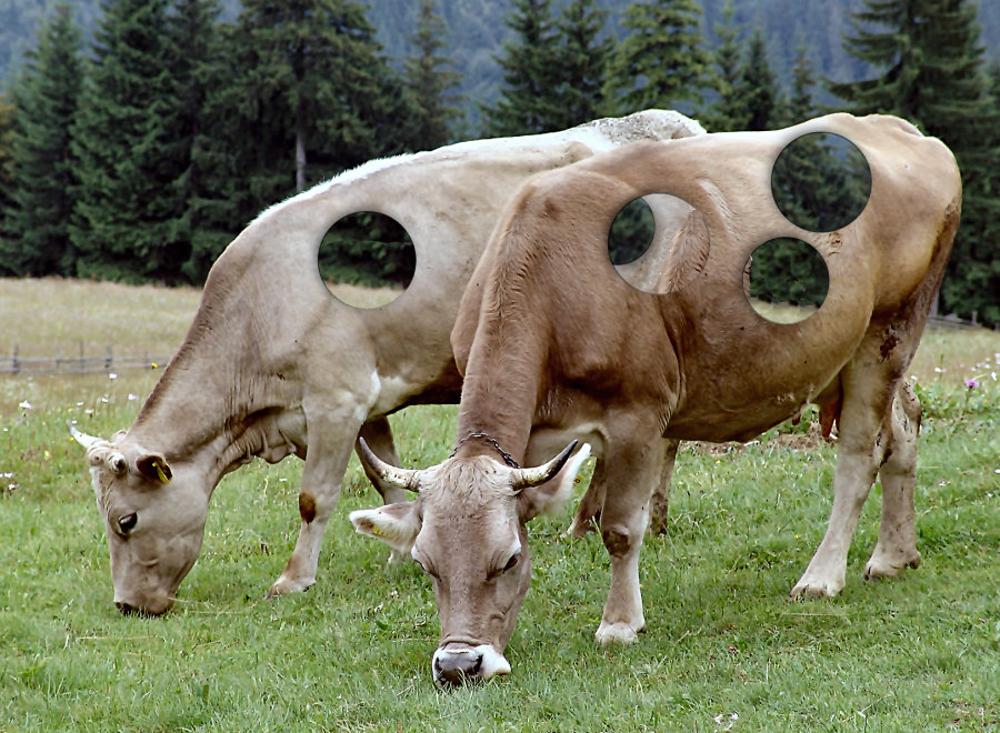 Photoshop Design by Silverhair1960 for DesignCrowd (Community Contests) | Design #9045315